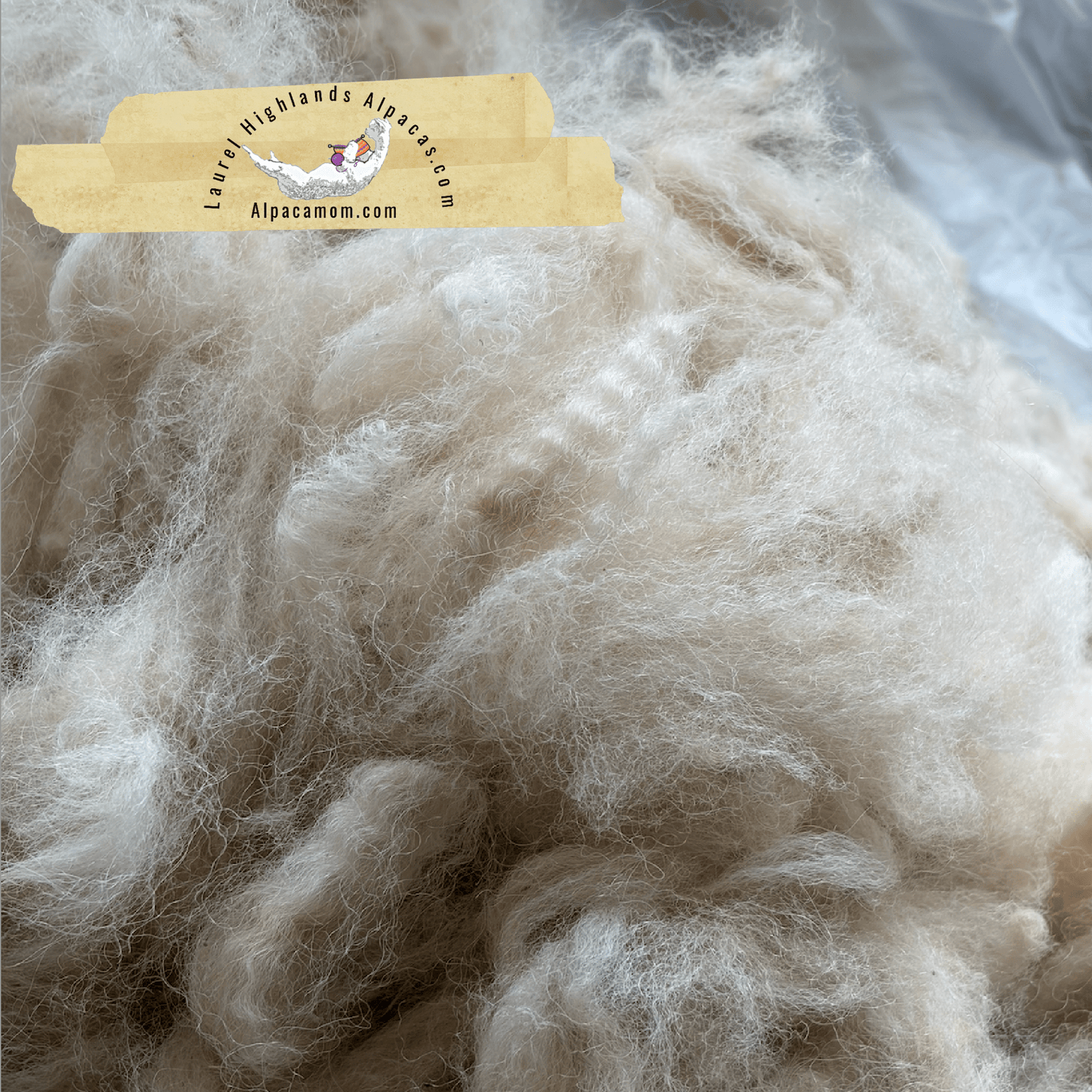 Raw - Unprocessed Alpaca Blanket Prime Fiber in Beige 11 - Laurel Highlands Alpacas | AlpacaMom.com