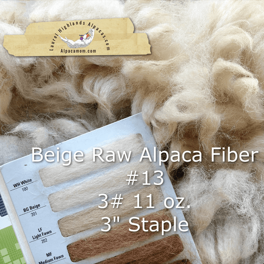 Raw - Unprocessed Alpaca Blanket Prime Fiber in BEIGE 13 - Laurel Highlands Alpacas | AlpacaMom.com