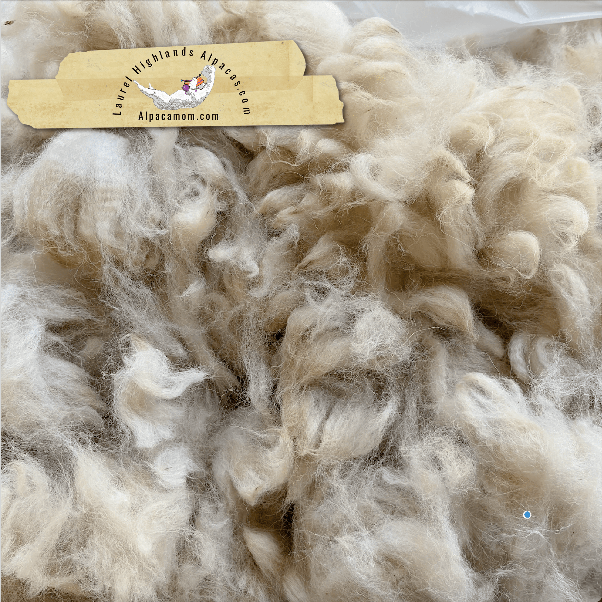 Raw - Unprocessed Alpaca Blanket Prime Fiber in BEIGE 13 - Laurel Highlands Alpacas | AlpacaMom.com