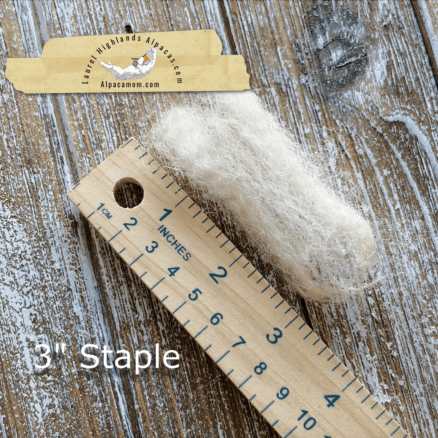 Raw - Unprocessed Alpaca Blanket Prime Fiber in BEIGE 13 - Laurel Highlands Alpacas | AlpacaMom.com