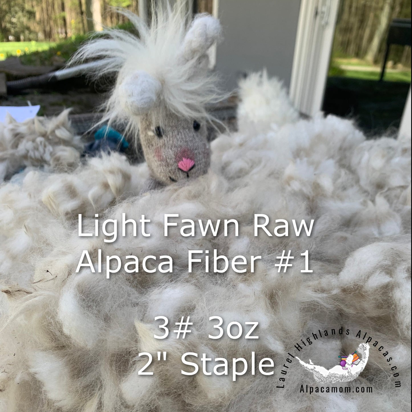 Raw - Unprocessed Alpaca Blanket Prime Fiber in Light Fawn 1 - Laurel Highlands Alpacas | AlpacaMom.com