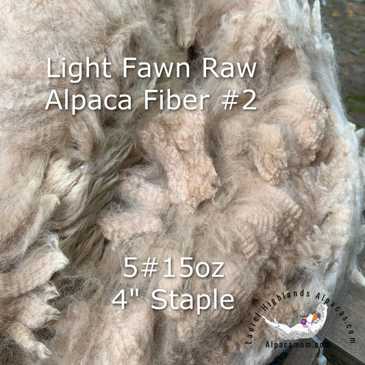 Raw - Unprocessed Alpaca Blanket Prime Fiber in Light Fawn 2 - Laurel Highlands Alpacas | AlpacaMom.com