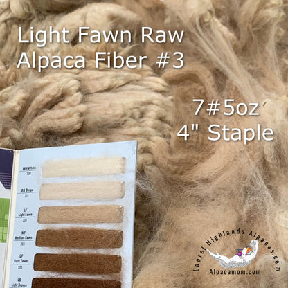 Raw - Unprocessed Alpaca Blanket Prime Fiber in Light Fawn 3 - Laurel Highlands Alpacas | AlpacaMom.com