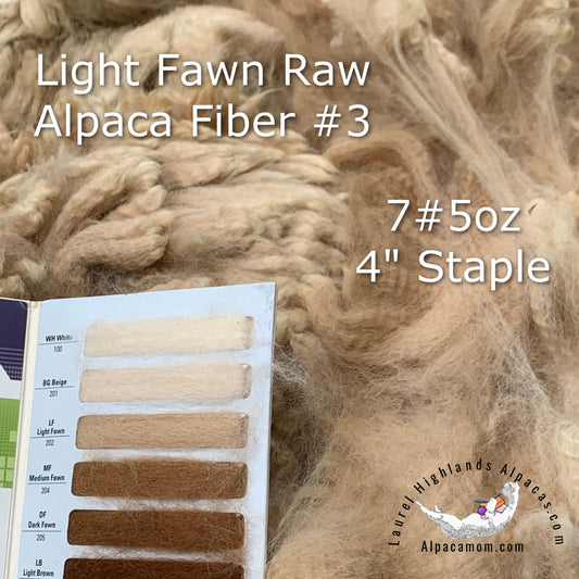 Raw - Unprocessed Alpaca Blanket Prime Fiber in Light Fawn 3 - Laurel Highlands Alpacas | AlpacaMom.com
