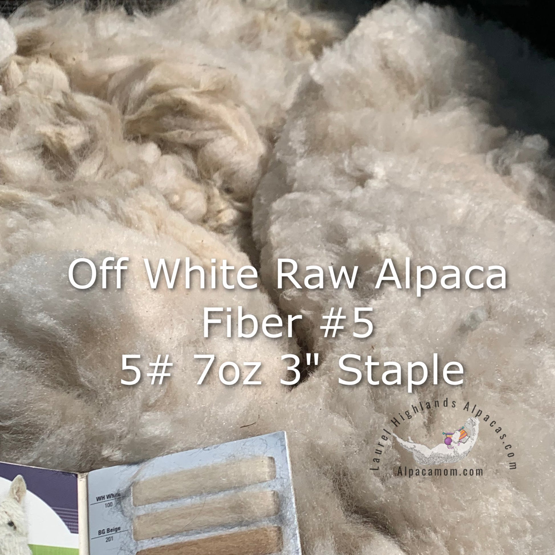 Raw - Unprocessed Alpaca Blanket Prime Fiber in Off - White 5 - Laurel Highlands Alpacas | AlpacaMom.com