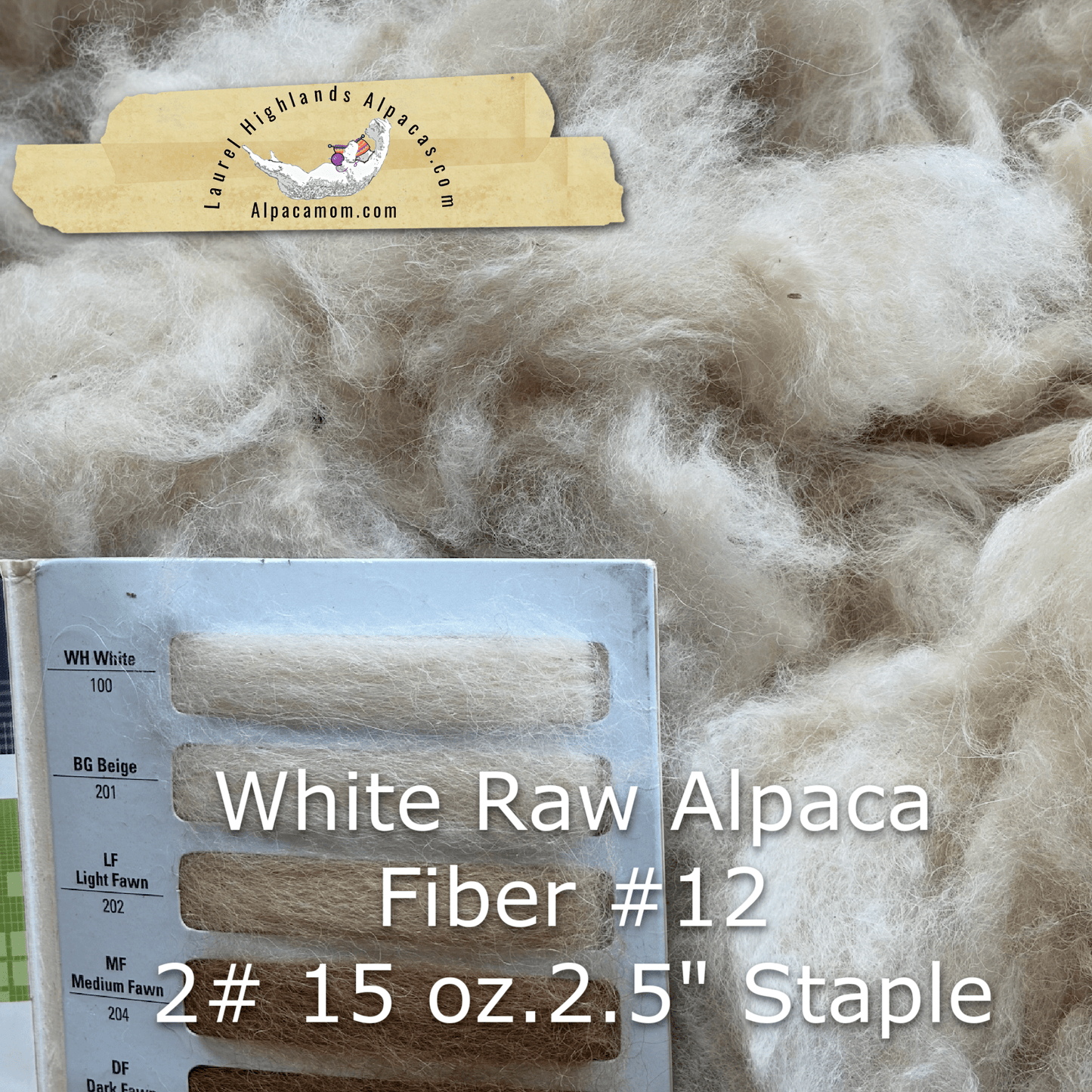 Raw - Unprocessed Alpaca Blanket Prime Fiber in WHITE 12 - Laurel Highlands Alpacas | AlpacaMom.com