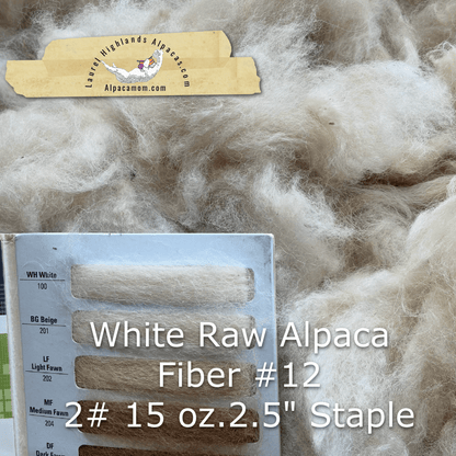 Raw - Unprocessed Alpaca Blanket Prime Fiber in WHITE 12 - Laurel Highlands Alpacas | AlpacaMom.com