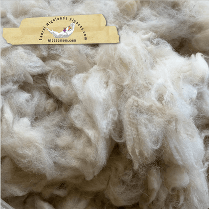 Raw - Unprocessed Alpaca Blanket Prime Fiber in WHITE 12 - Laurel Highlands Alpacas | AlpacaMom.com