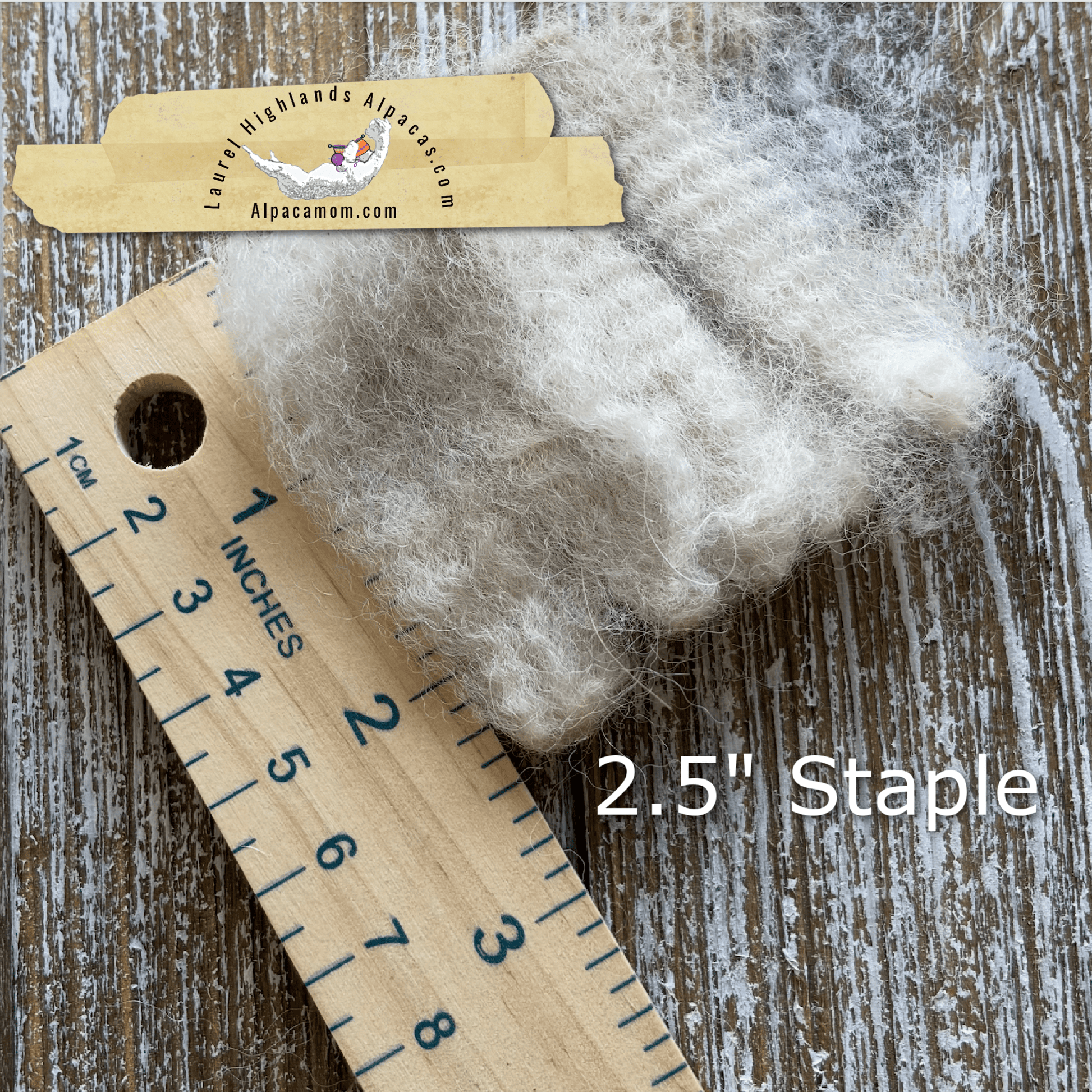 Raw - Unprocessed Alpaca Blanket Prime Fiber in WHITE 12 - Laurel Highlands Alpacas | AlpacaMom.com