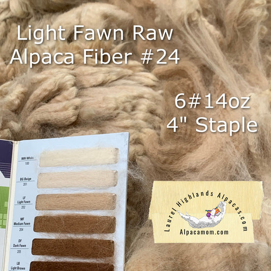 Raw - Unprocessed Alpaca Blanket Prime Fiber - Light Fawn 24 - Laurel Highlands Alpacas | AlpacaMom.com