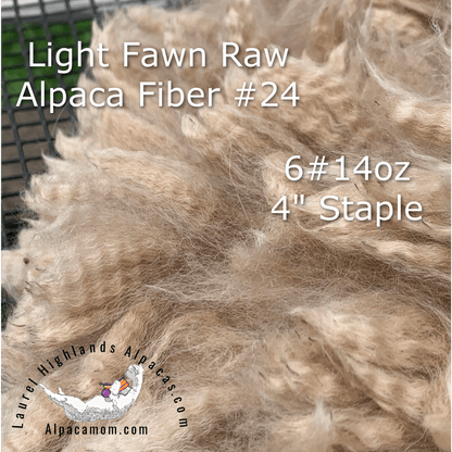 Raw - Unprocessed Alpaca Blanket Prime Fiber - Light Fawn 24 - Laurel Highlands Alpacas | AlpacaMom.com