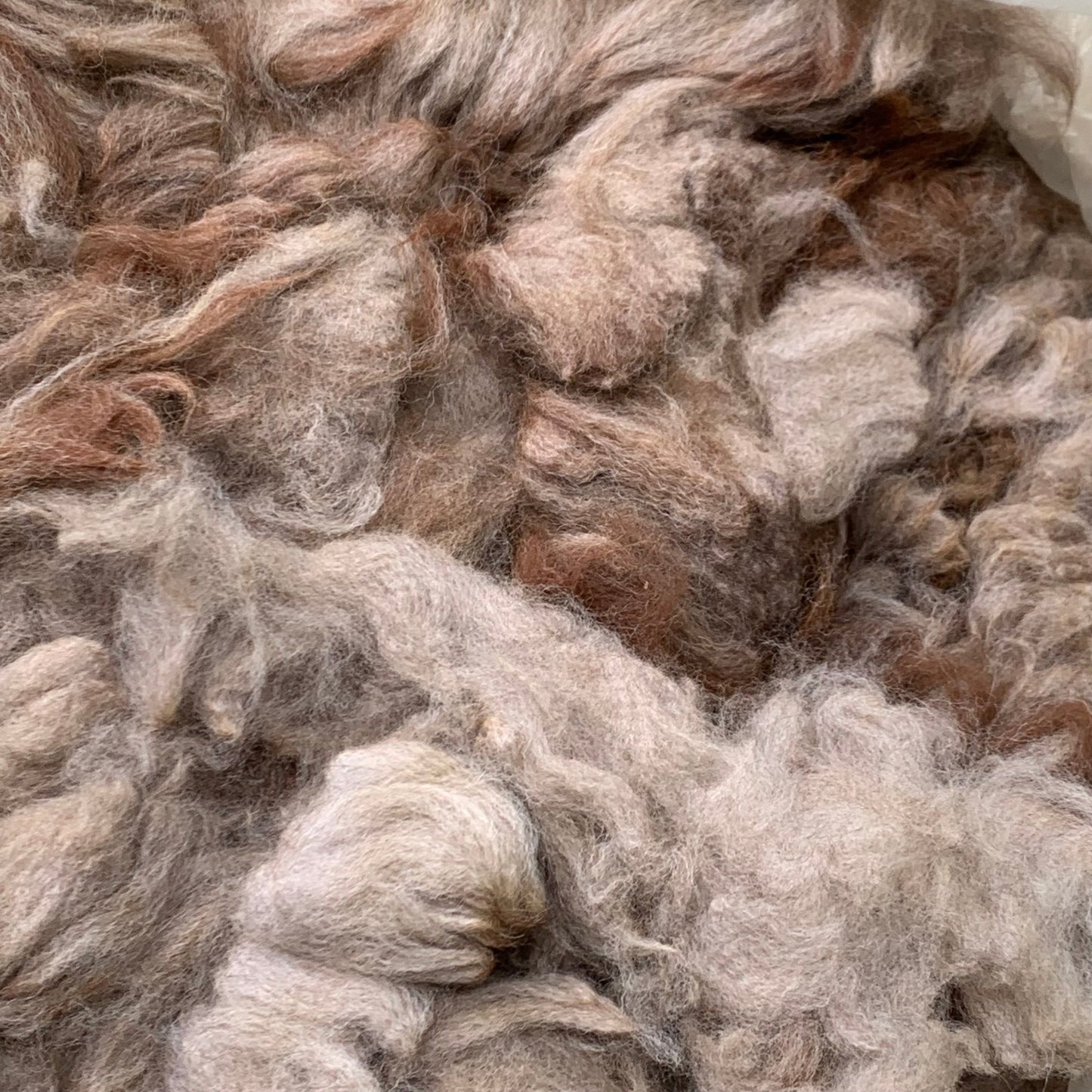 Raw - Unprocessed Alpaca Prime Fiber Blanket in Medium Rose Grey from Rocket - Laurel Highlands Alpacas | AlpacaMom.com