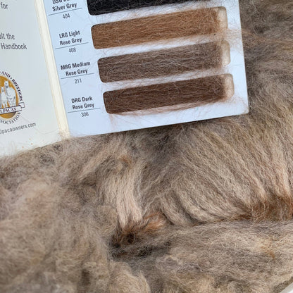 Raw - Unprocessed Alpaca Prime Fiber Blanket in Medium Rose Grey from Rocket - Laurel Highlands Alpacas | AlpacaMom.com