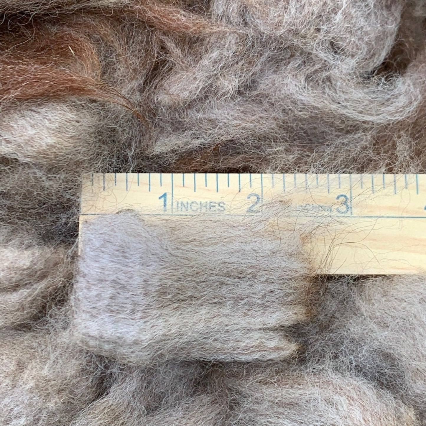 Raw - Unprocessed Alpaca Prime Fiber Blanket in Medium Rose Grey from Rocket - Laurel Highlands Alpacas | AlpacaMom.com