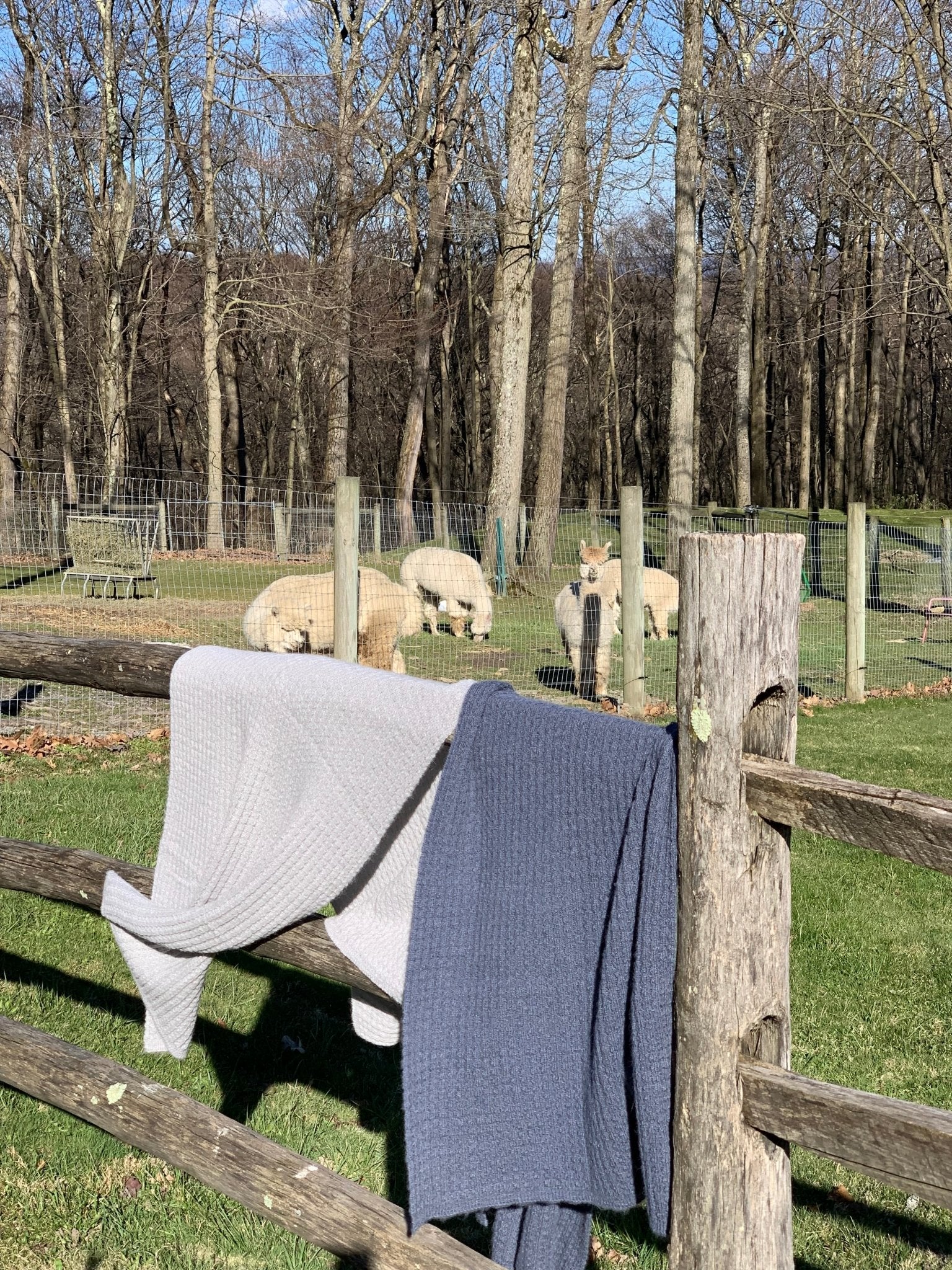 Textured Rib Alpaca Shawl: Julie's Travel Must Have! - Laurel Highlands Alpacas | AlpacaMom.com