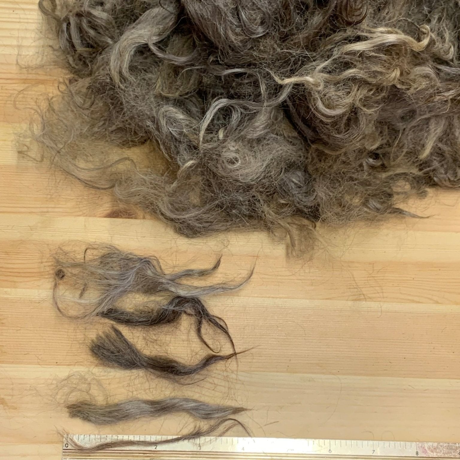 Washed Suri Alpaca Fiber Bundle - Laurel Highlands Alpacas | AlpacaMom.com