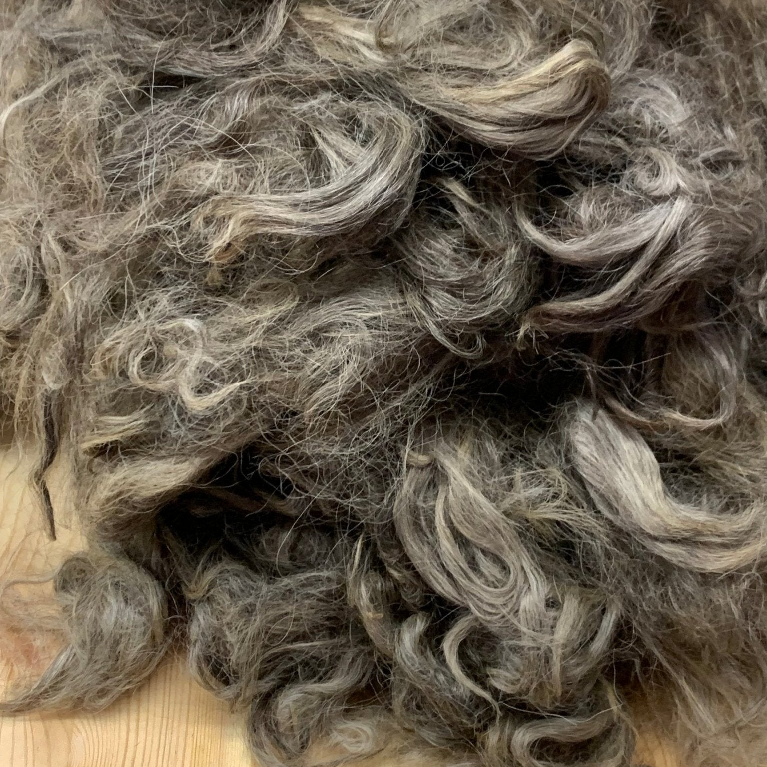 Washed Suri Alpaca Fiber Bundle - Laurel Highlands Alpacas | AlpacaMom.com